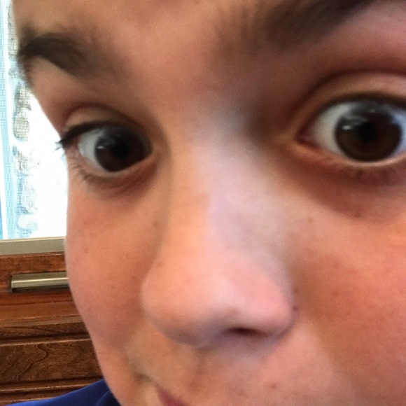 Meet your Posher, Mason - Picture 1 of 1